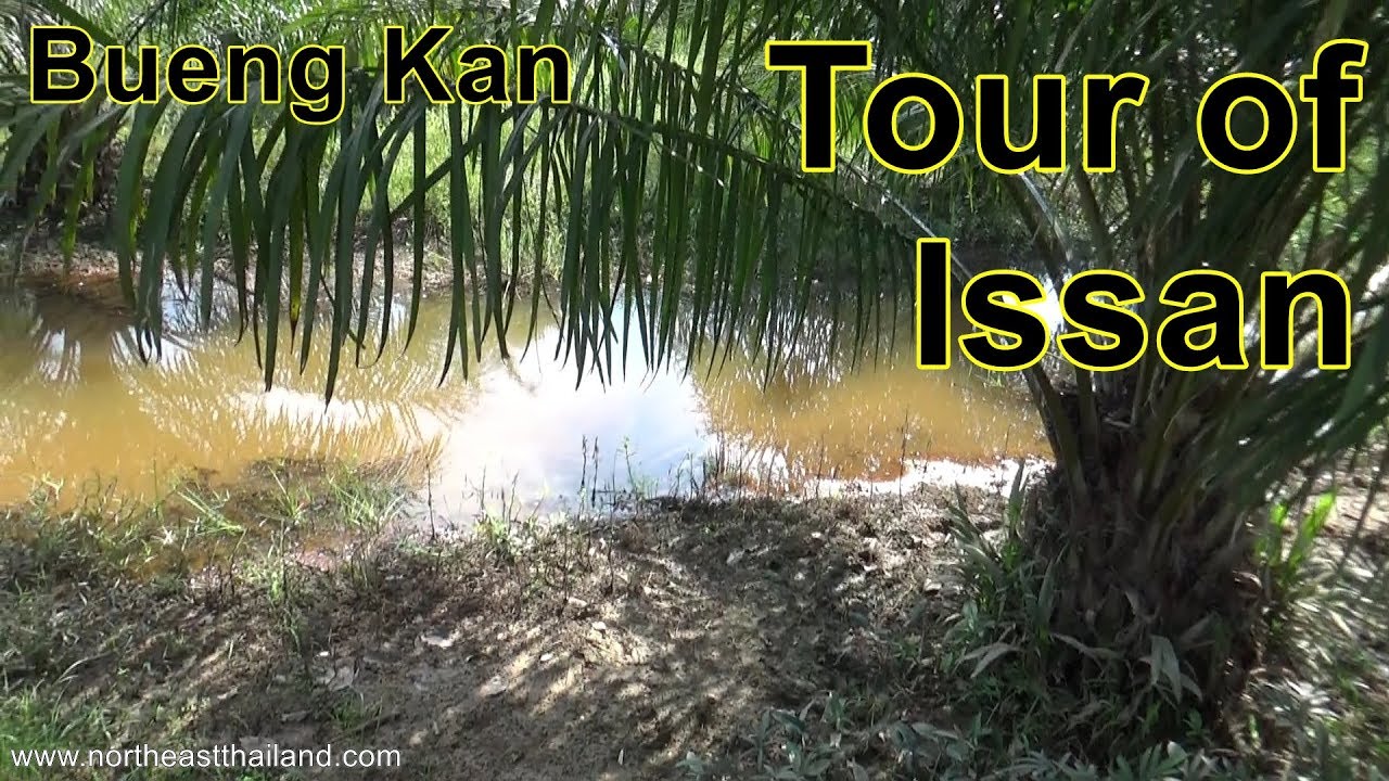 Tour of Issan, Daily Vlog, Trip 5 Day 2. Lots to explore Bueng Kan, just can't seem to find it.