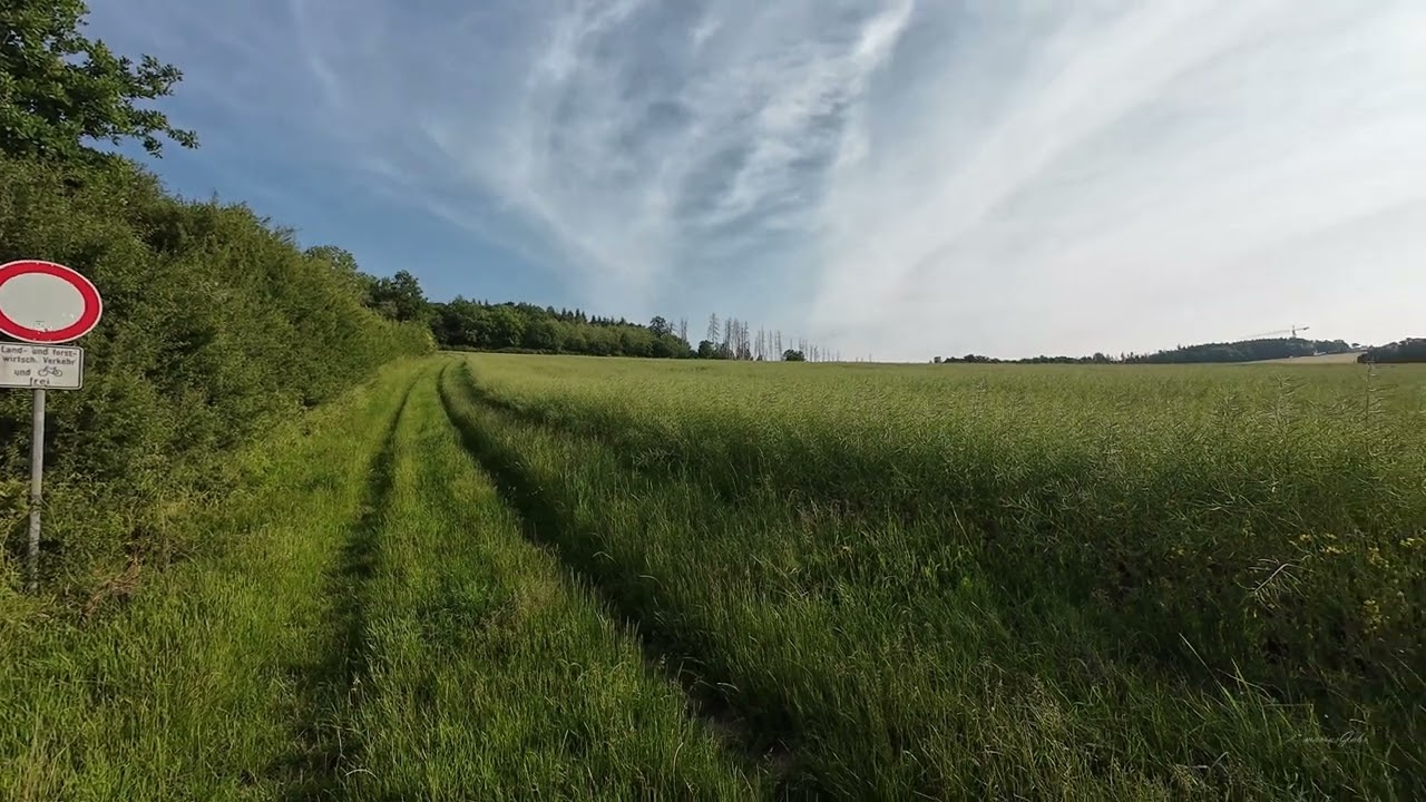 Descopera natura mergand cu bicicleta. /E-Bike/DJI Osmo Action 4
