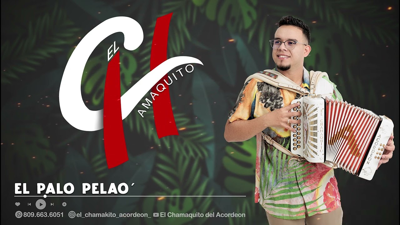 EL palo pelao [ El Chamaquito del Acordeón ]