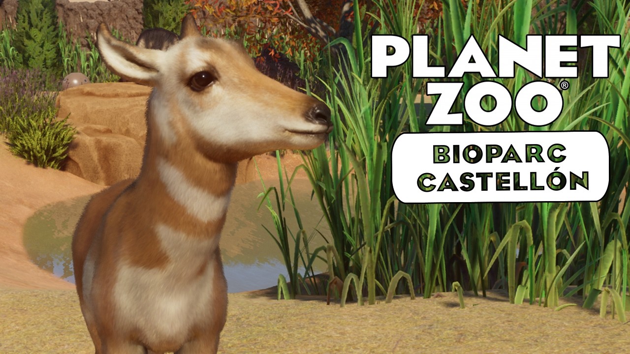 Bauen für echte Brocken «» Bioparc Castellón #37 - Planet Zoo Sandbox Mode 🦇🇪🇸 Deutsch | German