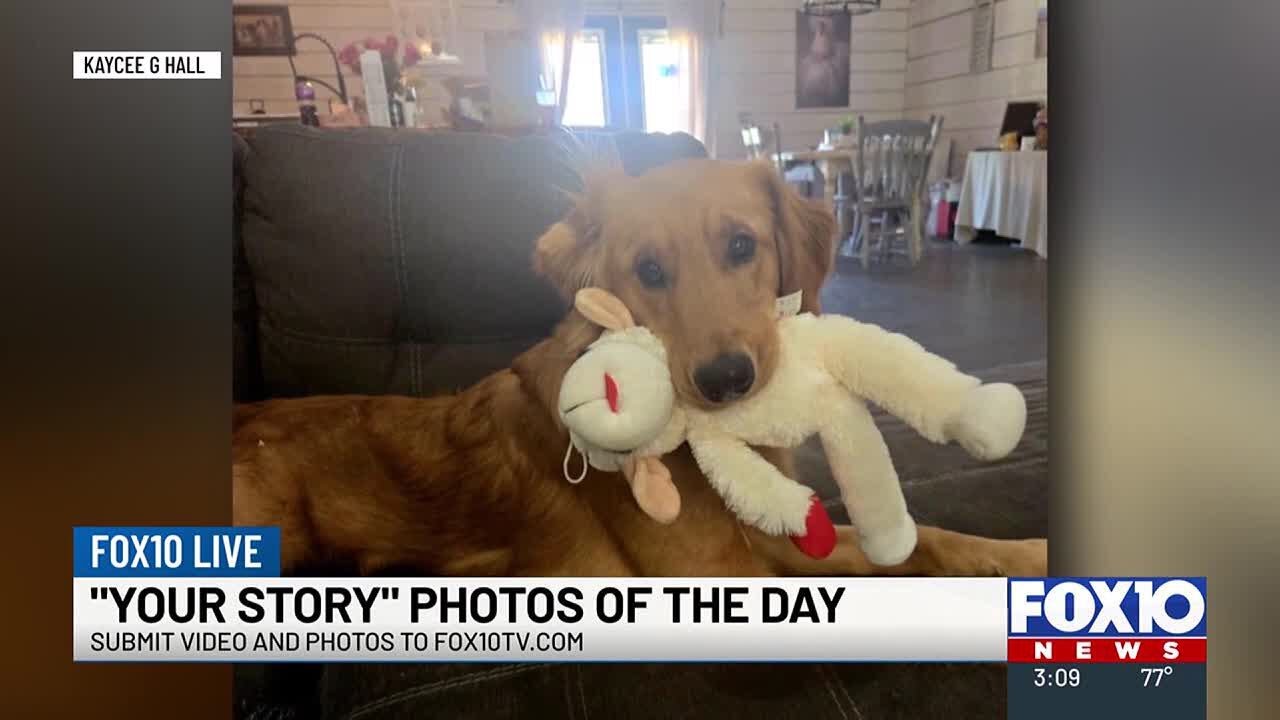 Shelby and Nicholas share 'Your Story' photos from viewers