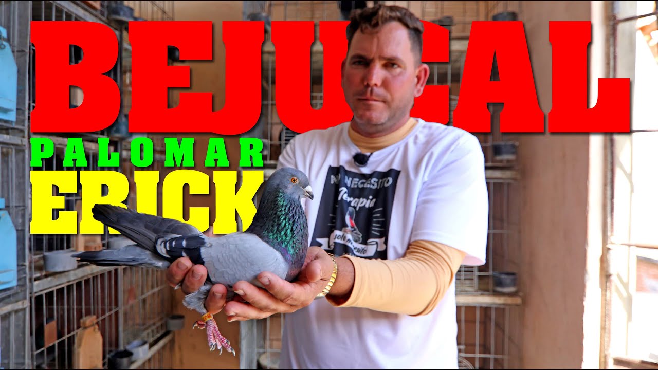Palomar DE Erick en Bejucal