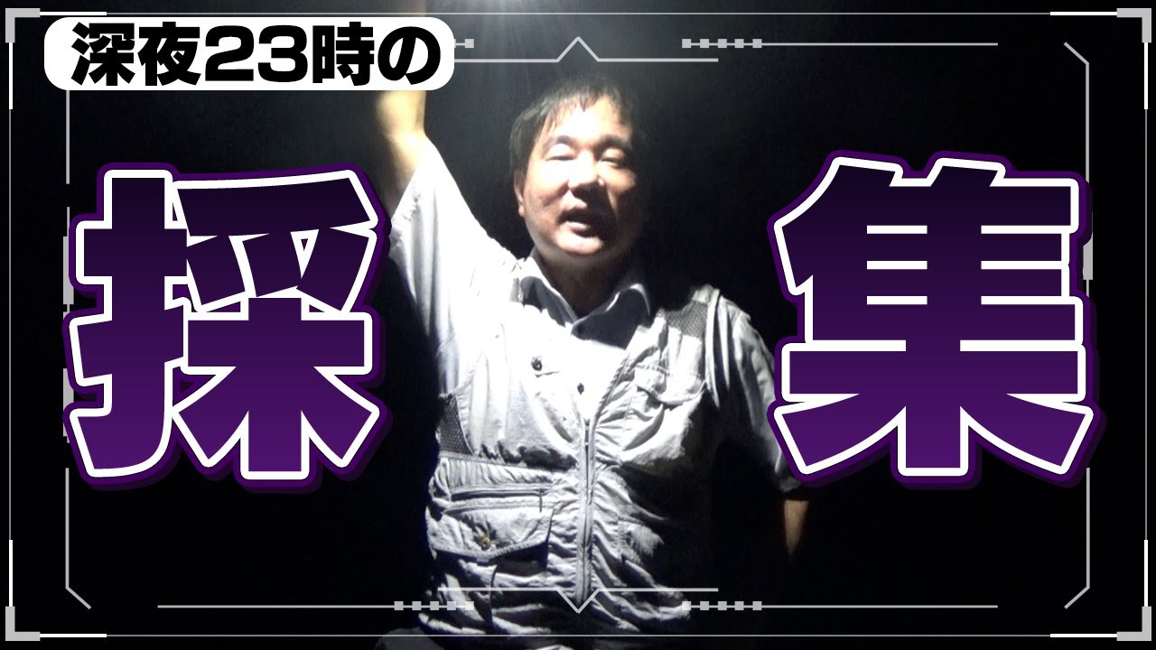 2022年8月中旬　オオクワガタが生息するという林で夜間採集してみた！
