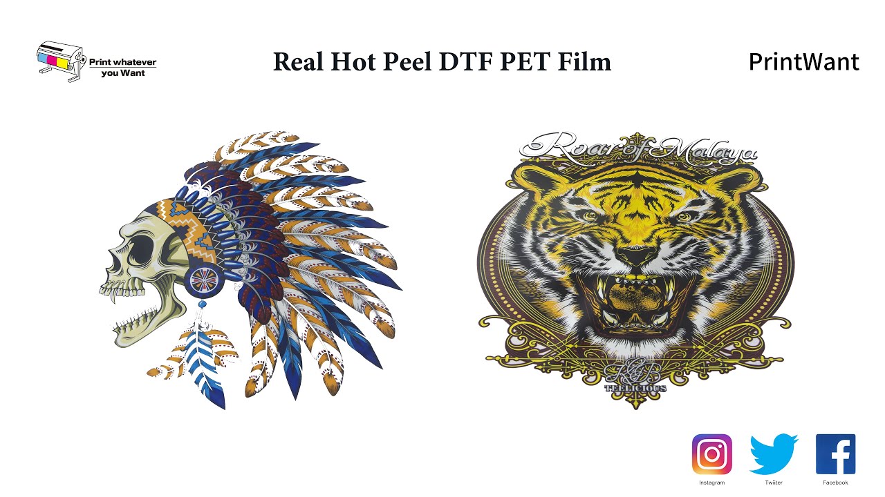 PrintWant's real hot peel double side dtf pet film. Printing with four head i3200 printhead.