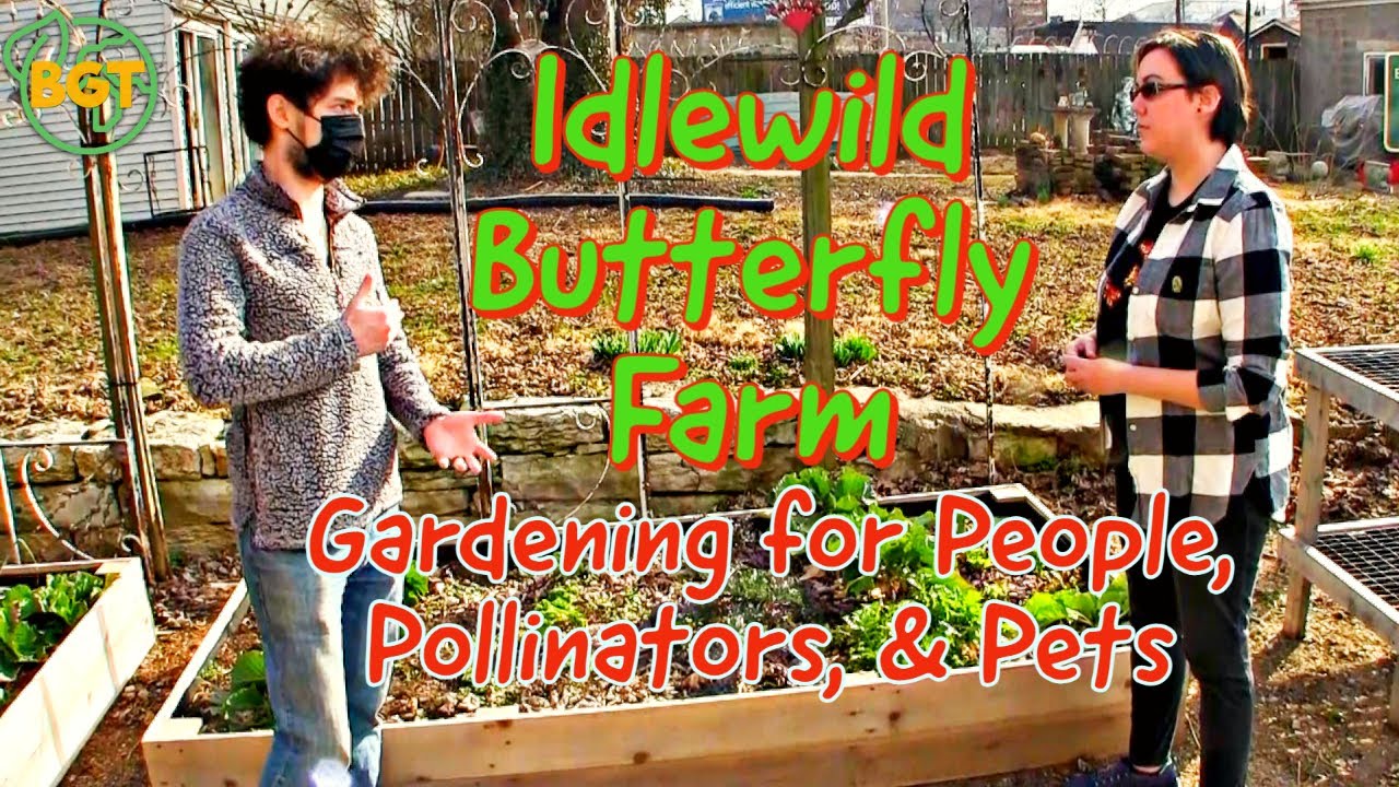 Gardening for People, Pollinators, and Pets with Idlewild Butterfly Farm
