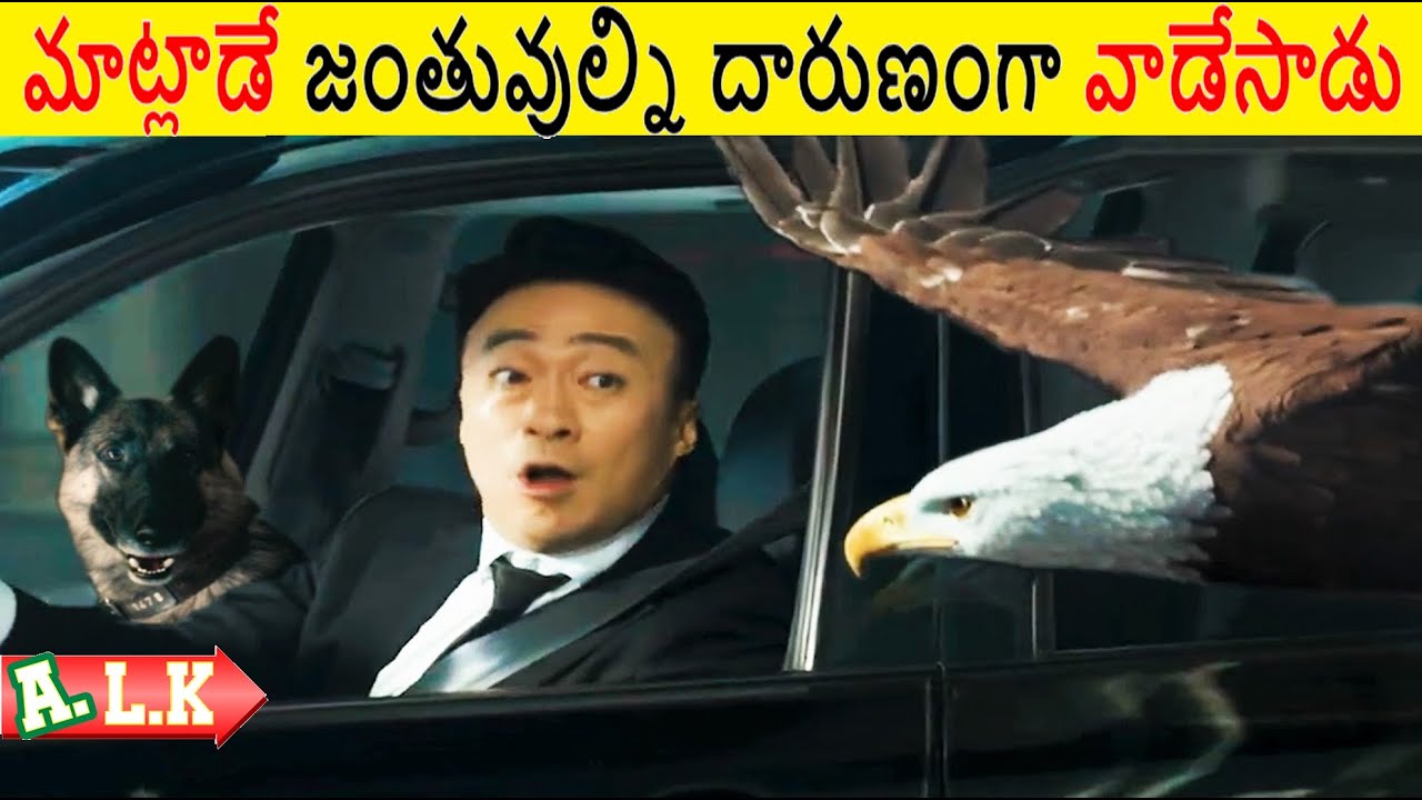 మాట్లాడే జంతువుల్ని దారుణంగా వాడేసాడు || Movie Explained In Telugu || ALK Vibes