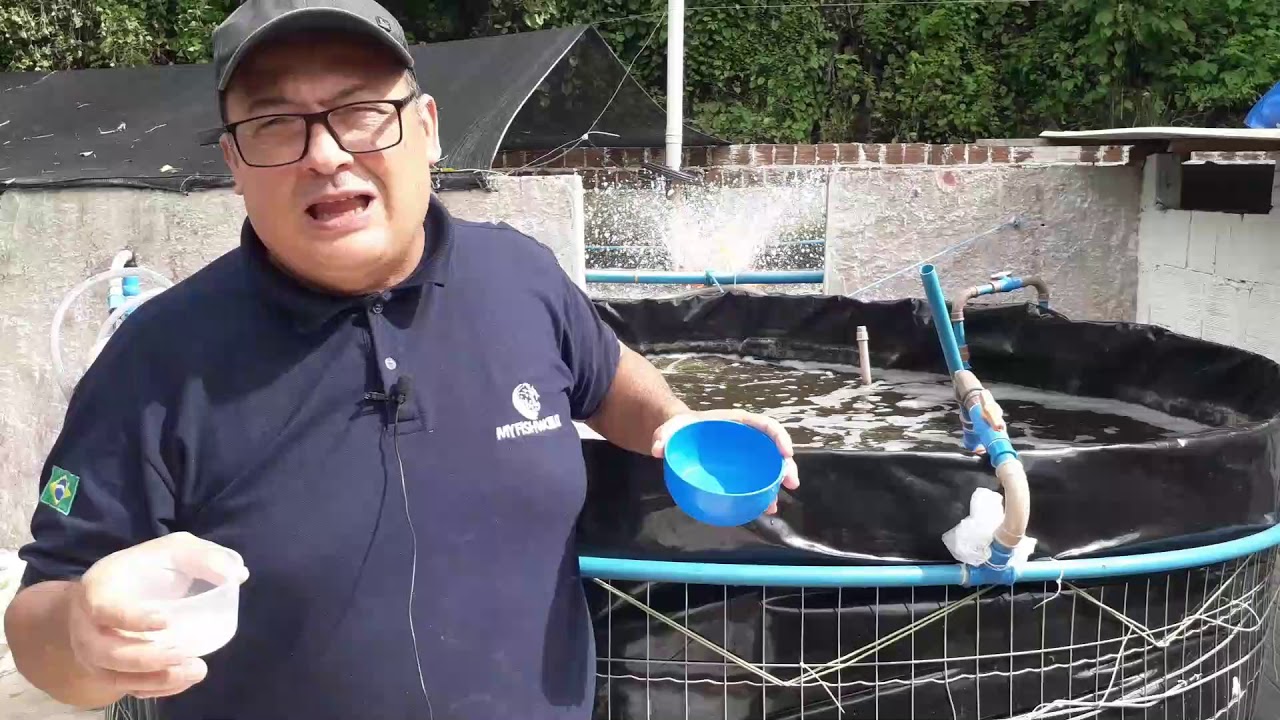 O VÍDEO MAIS VISTO DA INTERNET-COMO ACABAR COM AMÔNIA E NITRITO