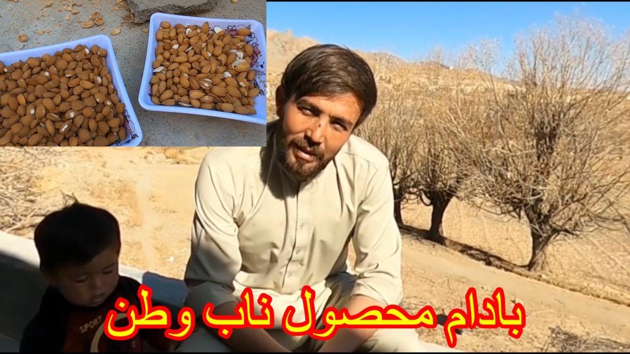 سهم آیلین جان در کارها، و نیز آمادگی اش برای تعلیمات قبل از مکتب