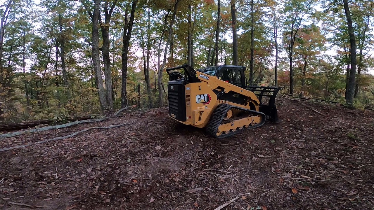 Letting the Cat Out of the Bag, 20 hours on new 299D3 XE