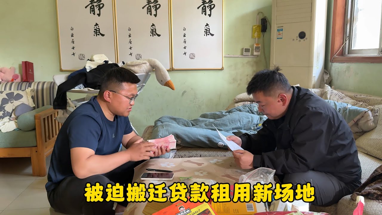 幾百只狗狗陷入生存困境，被迫搬遷租用新場地，不惜欠下巨額貸款