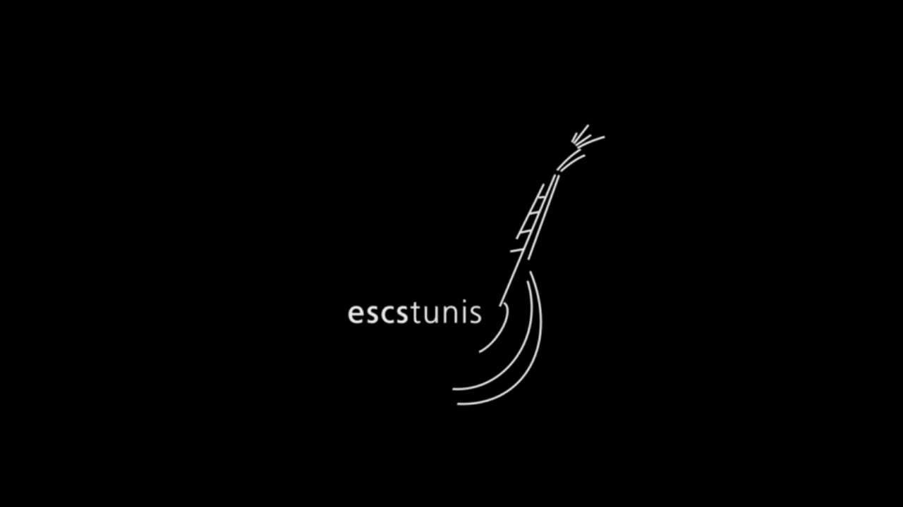 escstunis - Capas Negras de Estudante