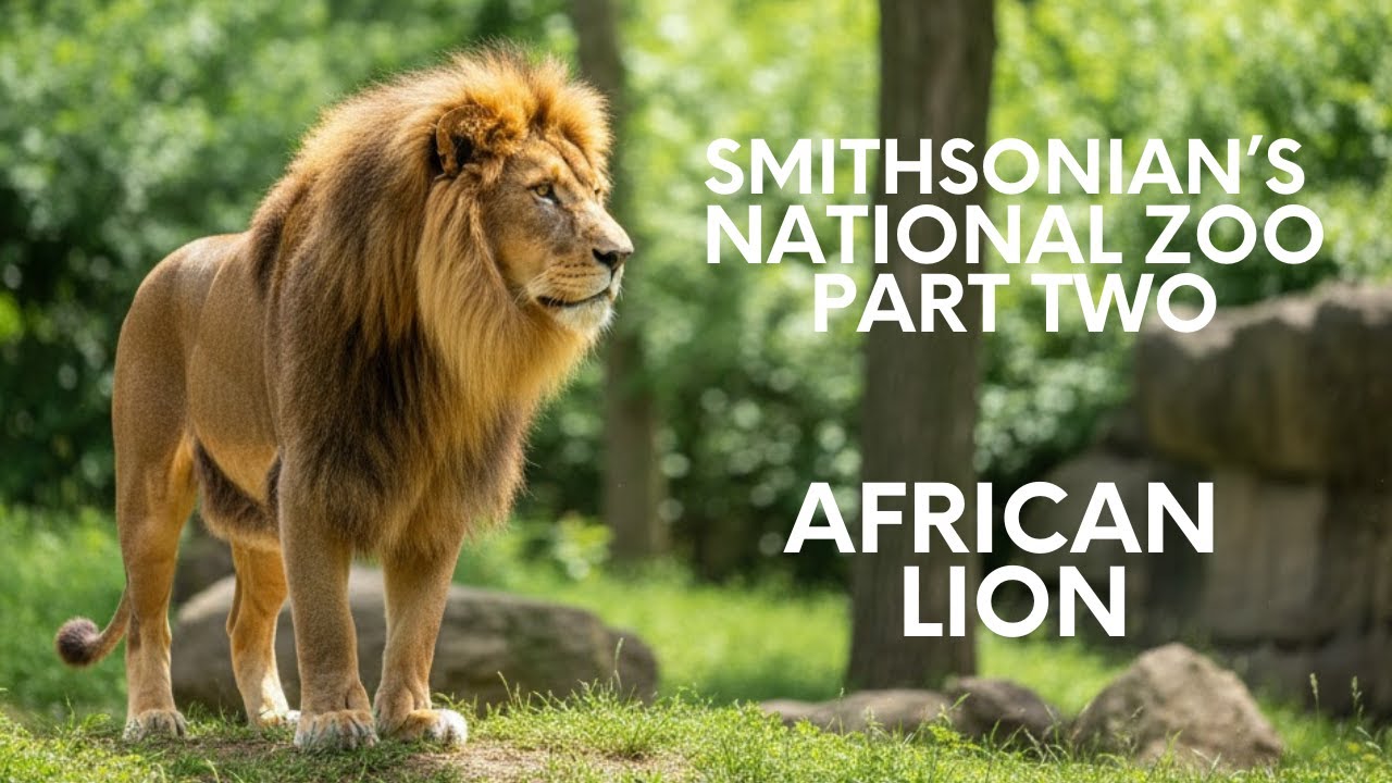 Smithsonian's National Zoo Full Tour 2025 - Part Two