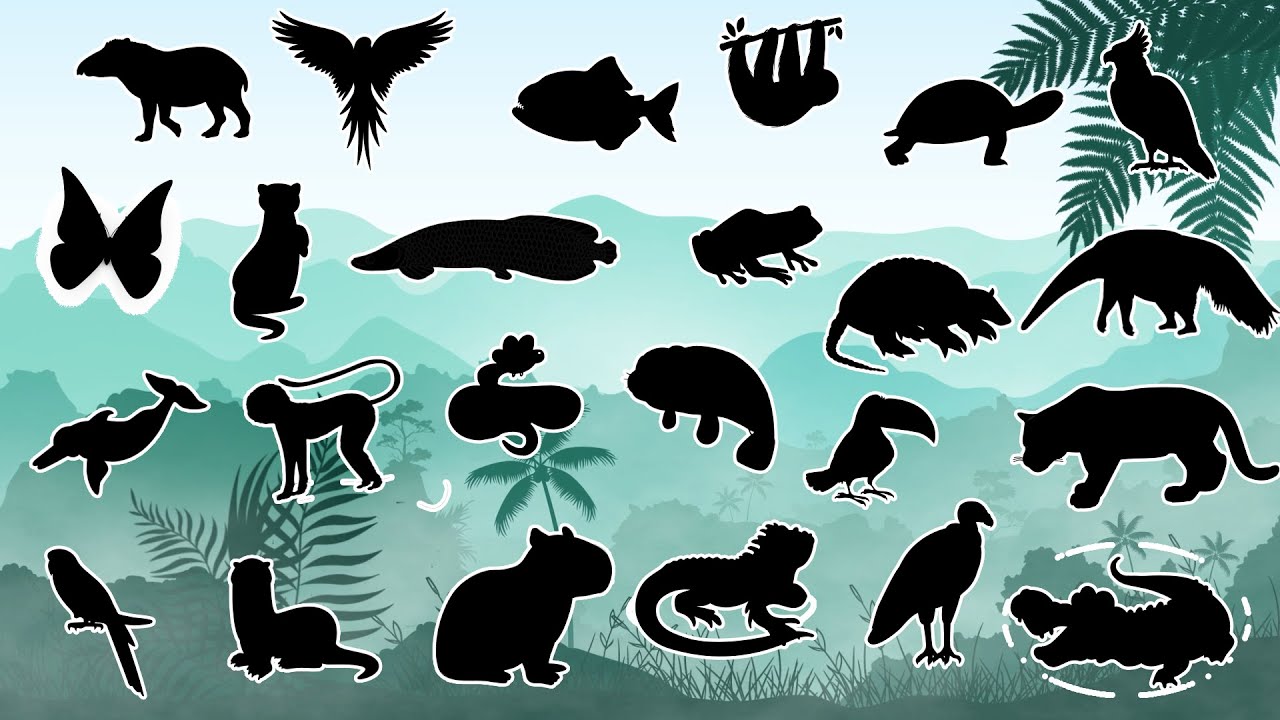 Que animal é esse?🐍 Adivinhe o Animal Secreto da Amazônia!