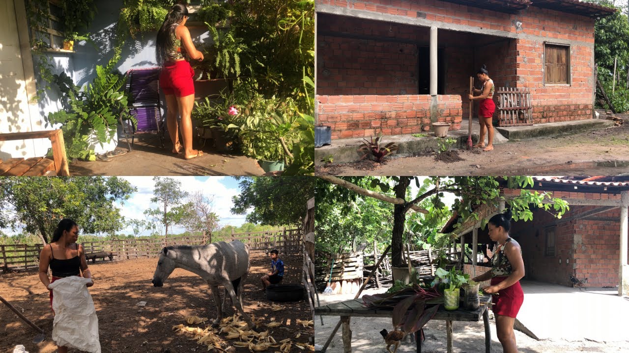 Começando um jardim do zero pra minha mãe/Juntei bastante adubo🪴🌱