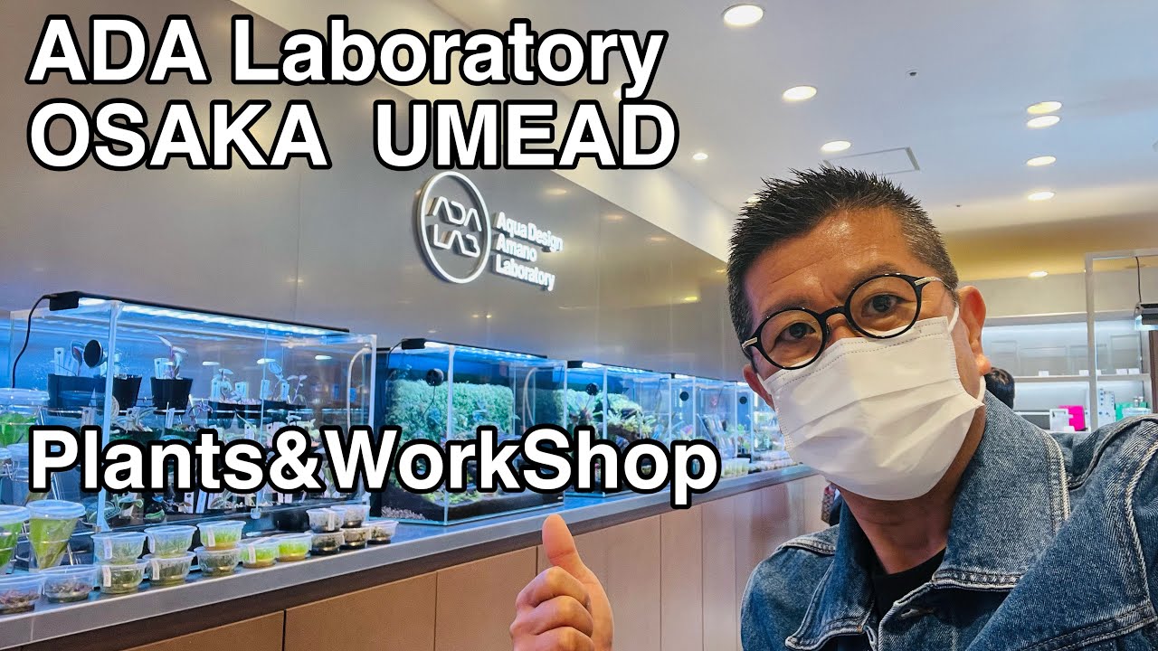 ADA Laboratory UMEDA  Info　AquaRevue Neo CH☆Official☆