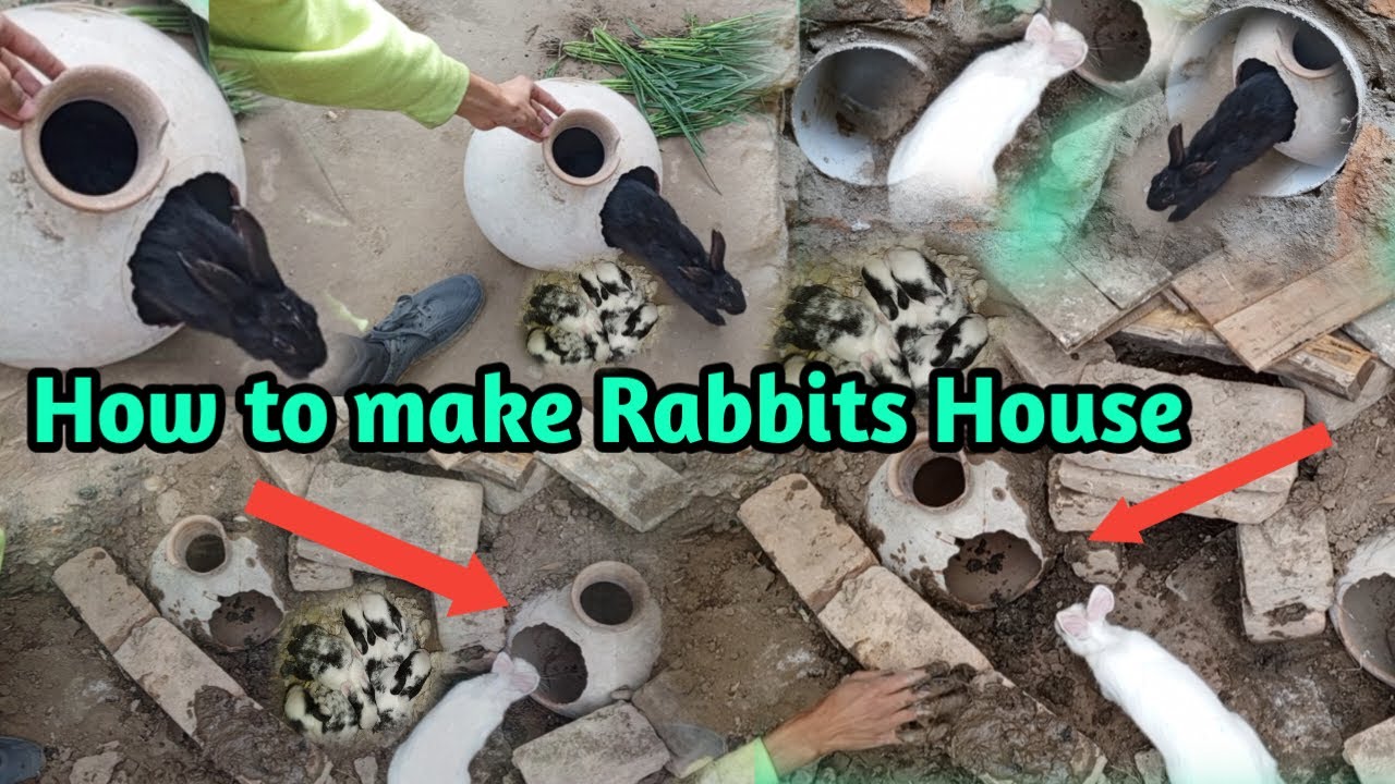 How to make Rabbits House || Building Rabbit house at home || rabbit house