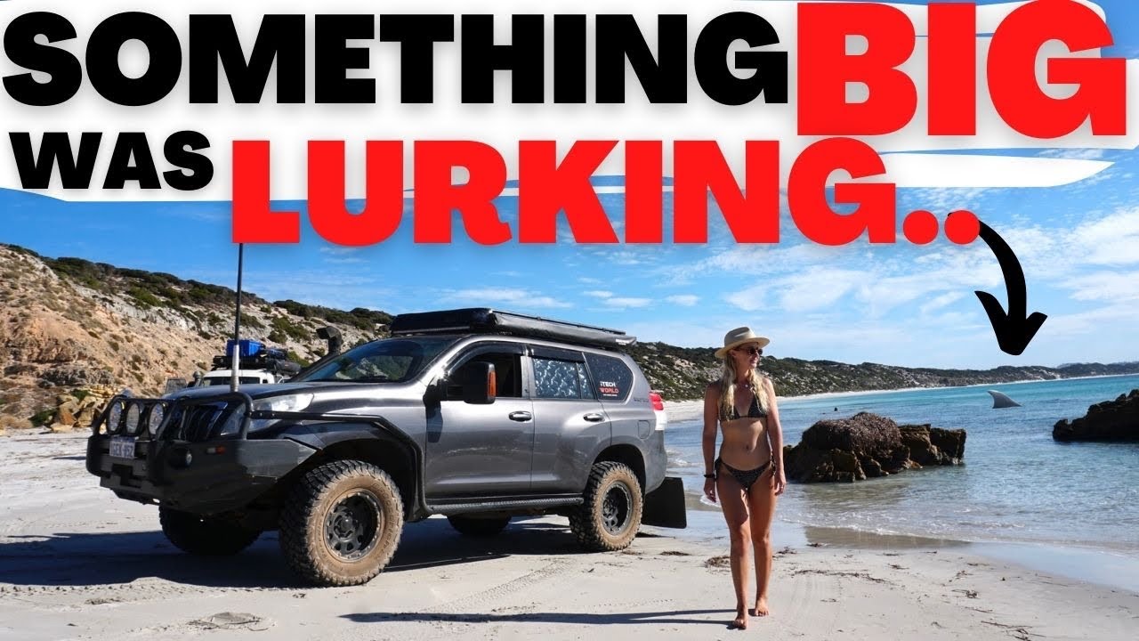 CLOSE ENCOUNTER WAKE UP CALL - WE GOT LUCKY / Kangaroo island dolphins, fishing, 4x4, offgrid 4wd