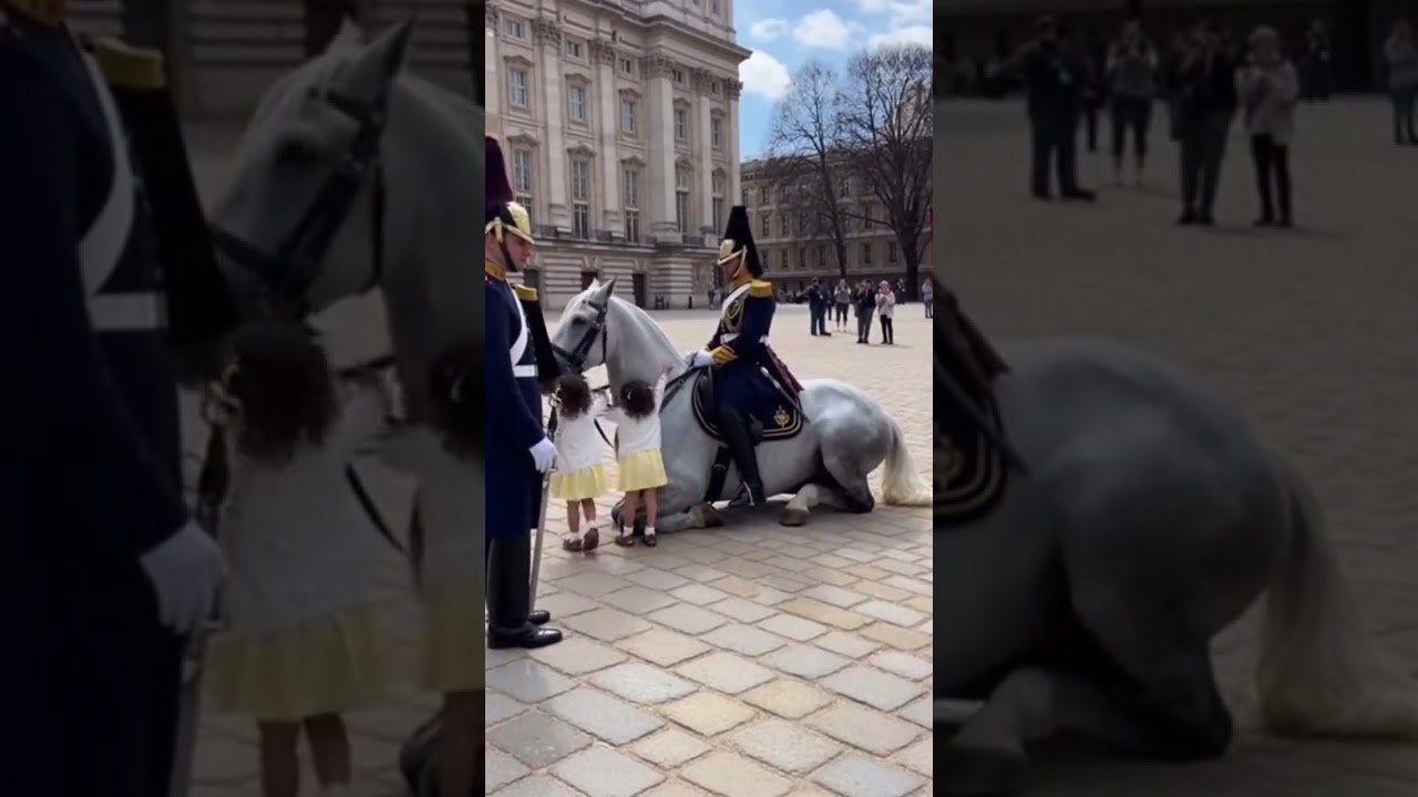 🥰He doesn't think twice when he sees children with a trained horse.🍀💞