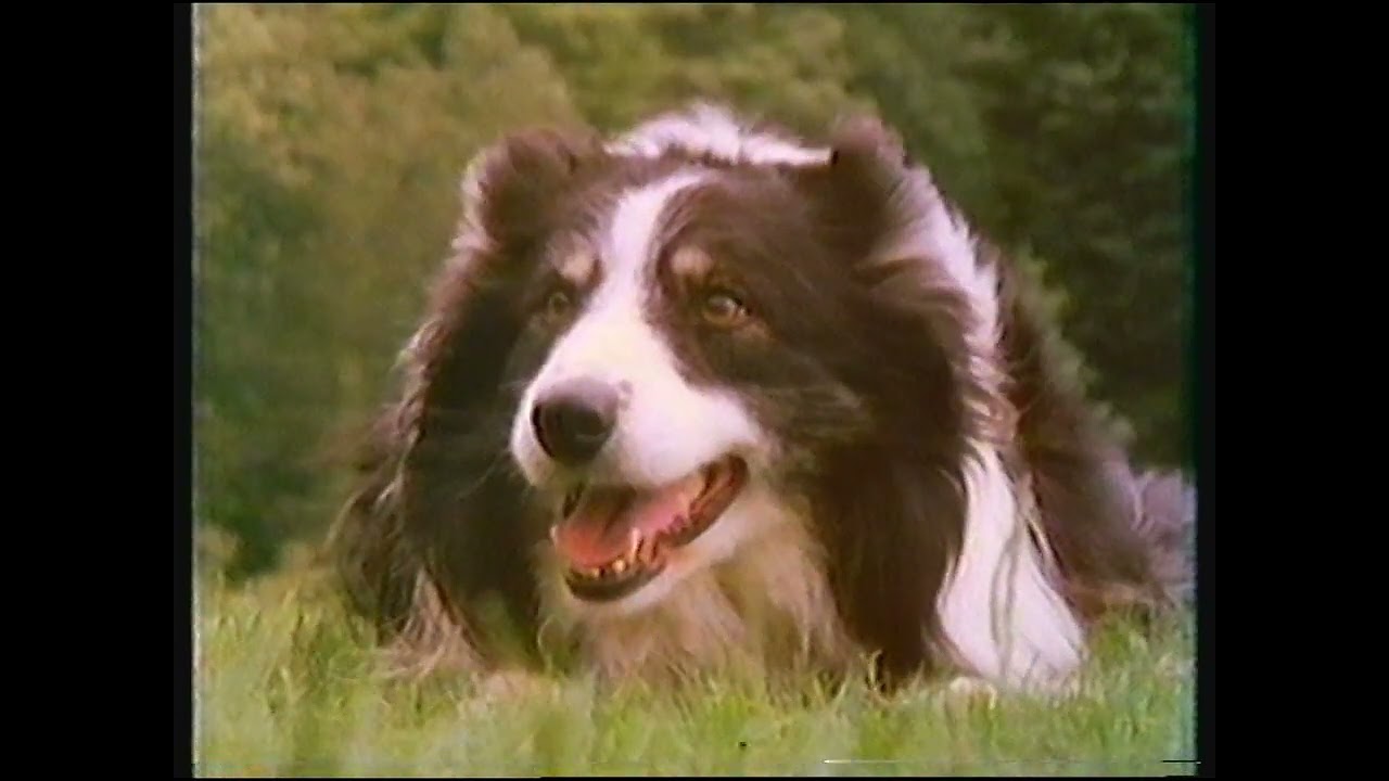 [720p/50p] BBC2 | continuity | 23rd March 1982