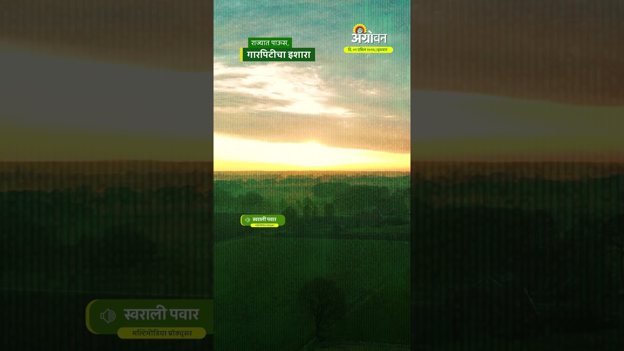 Rain Update: राज्यात पाऊस, गारपिटीचा इशारा | Agrowon