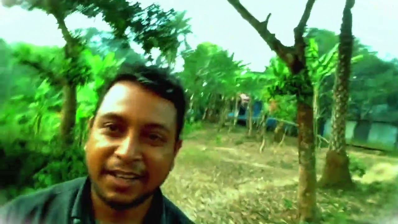 ছোট ছোট লেবু ৪০টাকাহালি।#trending #funny #myhappyvillagelifestyle 