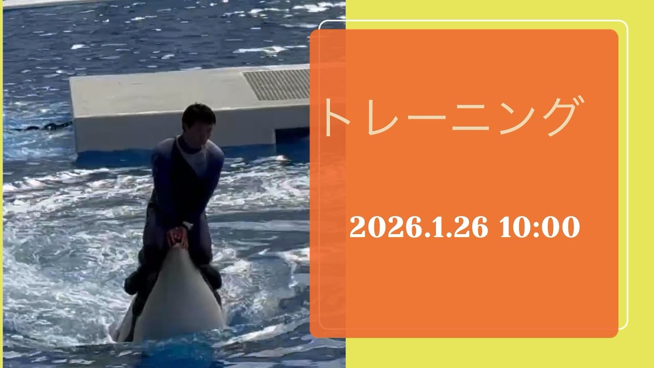 トレーニング　2026.1.26 10:00