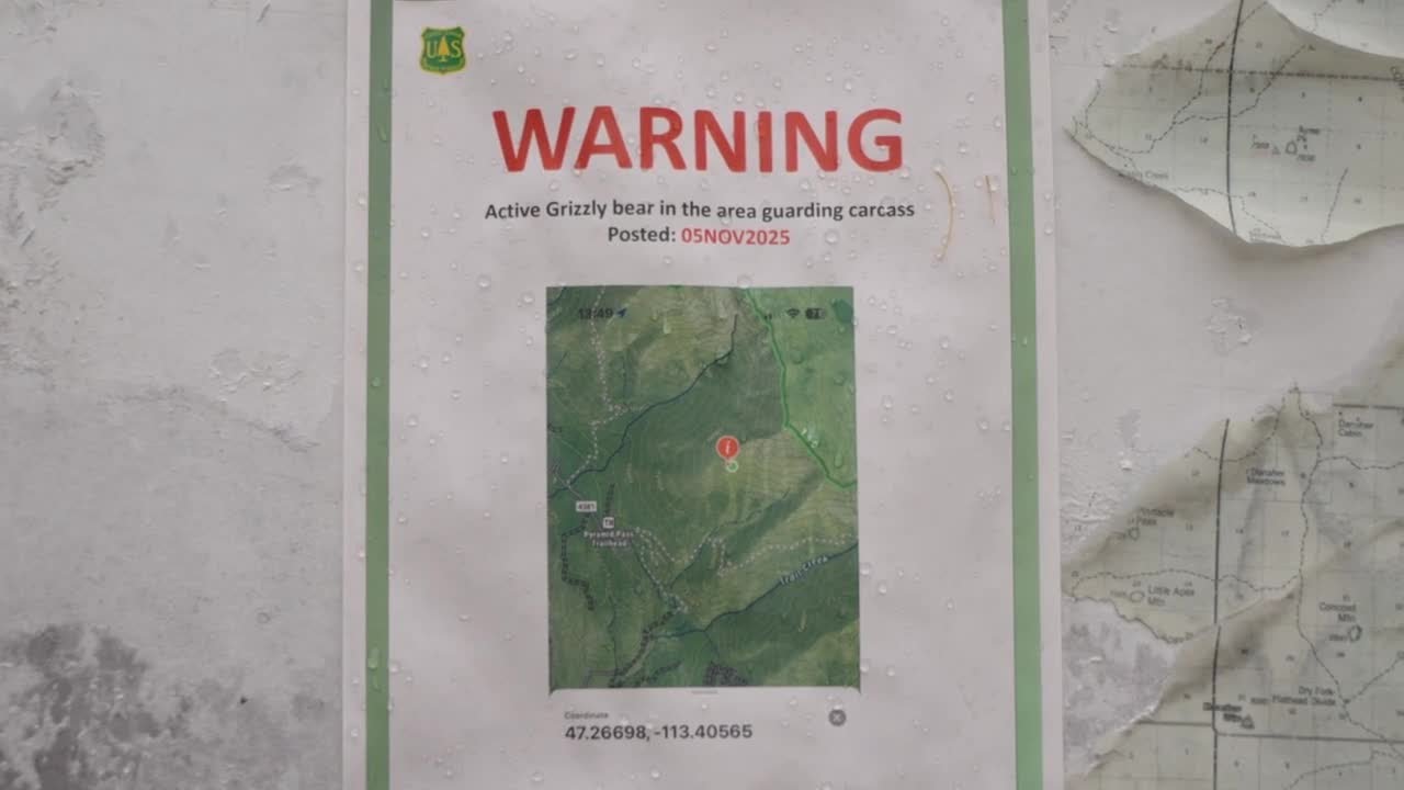 Follow up: 2 grizzly bears killed by hunters near Seeley Lake after encounter