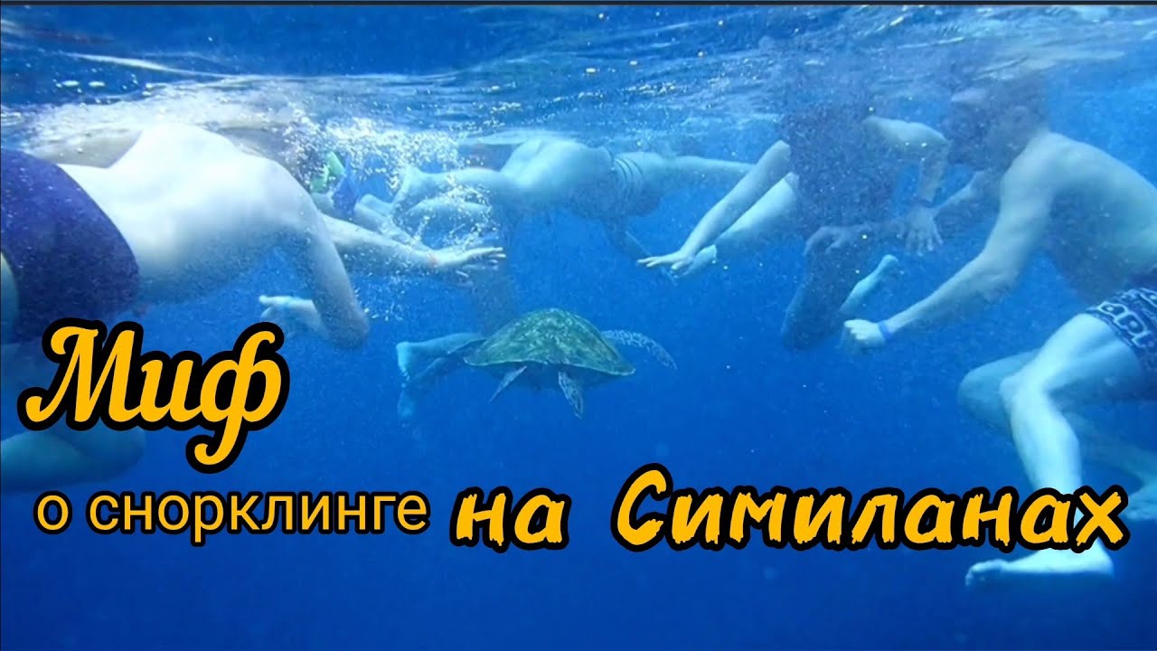 Снорклинг на Симиланах: черепаховый контактный зоопарк, рыбки в валунах/Симиланы - это про дайвинг!