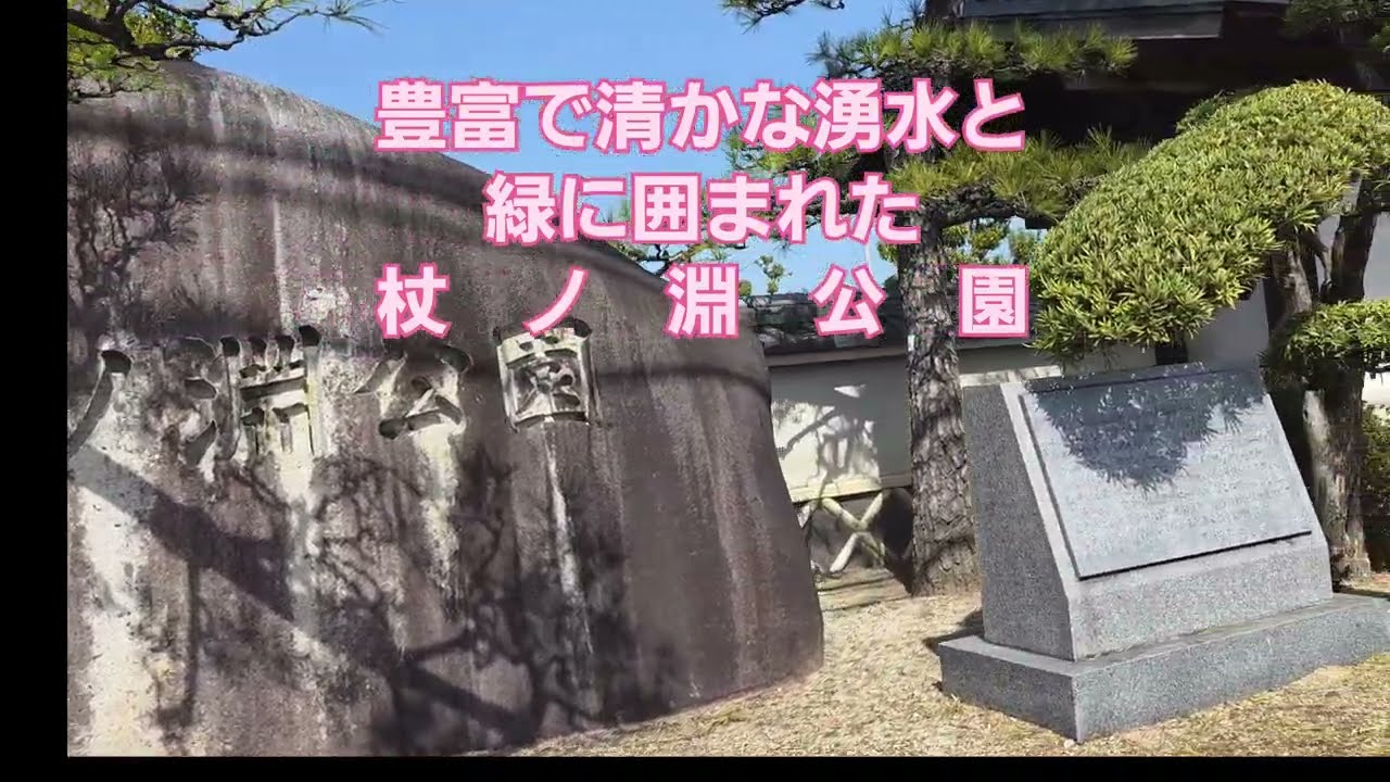 湧き水と緑と🌸と可愛いすぎる生き物たち