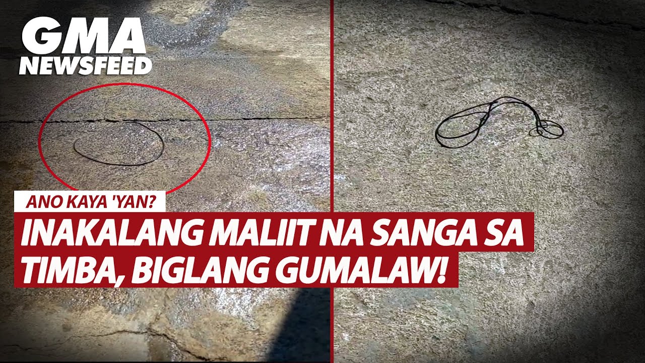 Inakalang maliit na sanga sa timba, biglang gumalaw! | GMA News Feed
