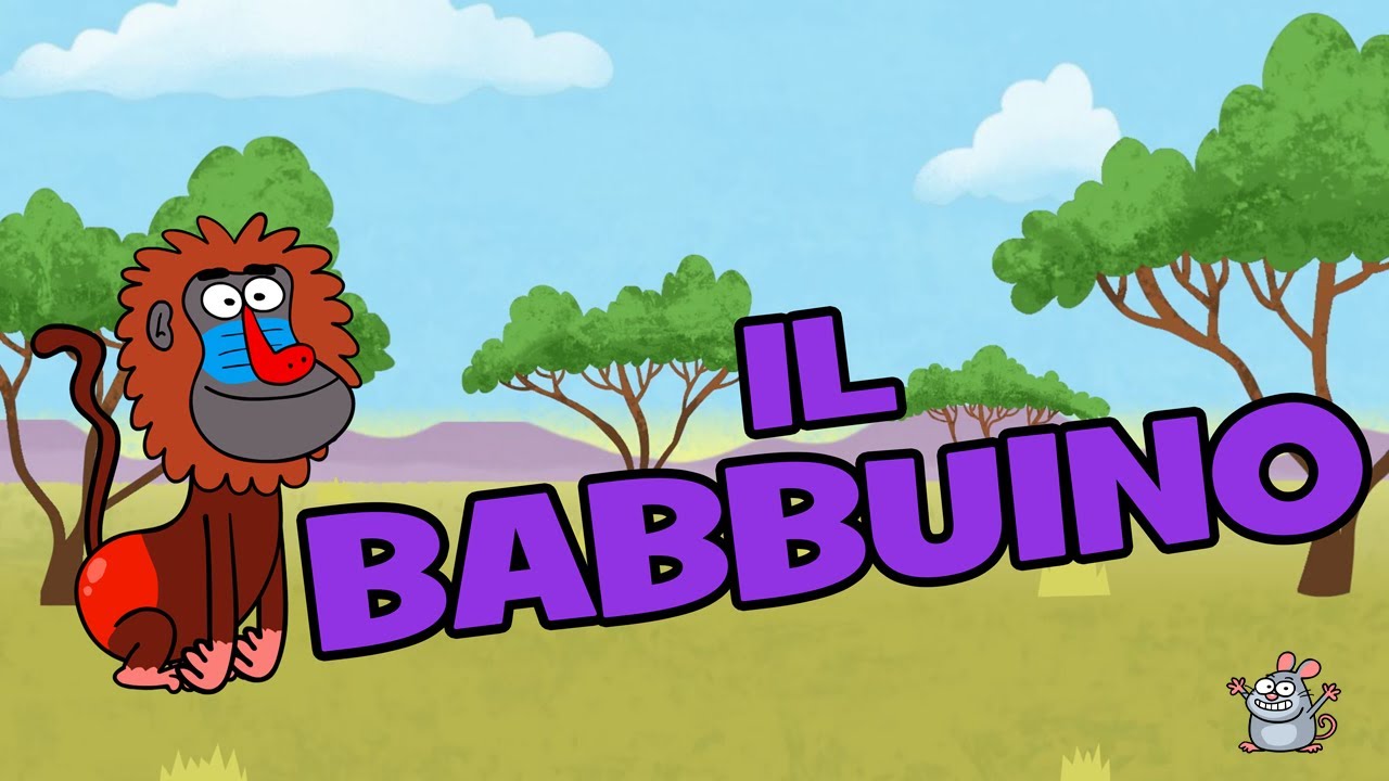 Canzone sugli animali - Il Babbuino - Evviva Canzoni Per Bambini