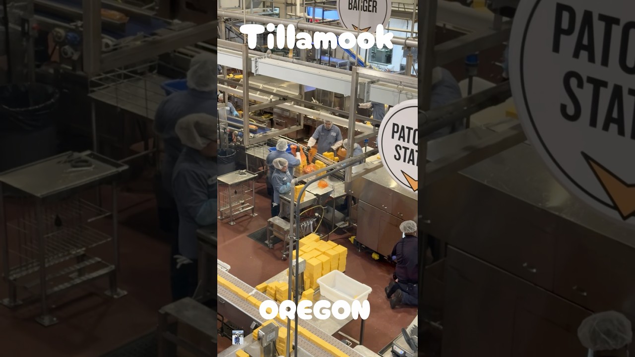 The famous Tillamook Creamery in #tillamook #oregon #oregoncoast