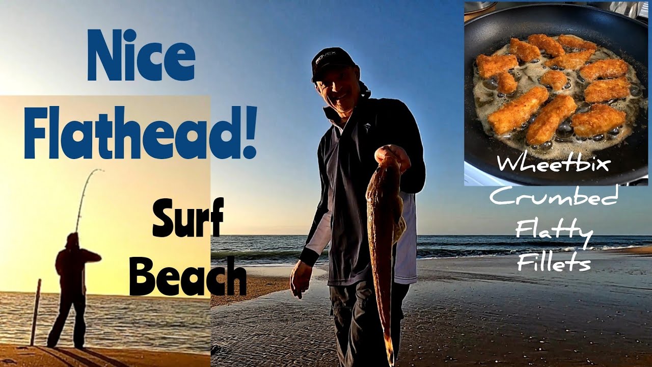 Surf Beach Fishing. Flathead Catch n Cook. Ep77