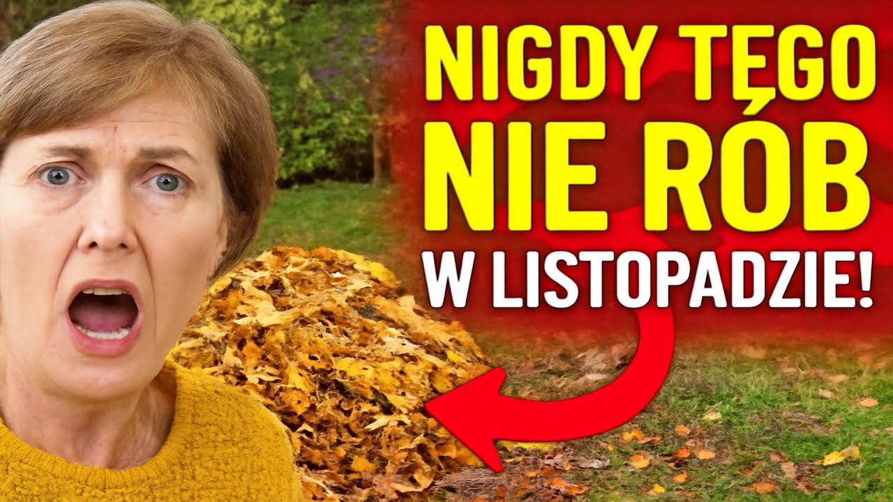 Nigdy tego nie rób w listopadzie! Pięć fatalnych błędów, które ZNISZCZĄ Twój ogród