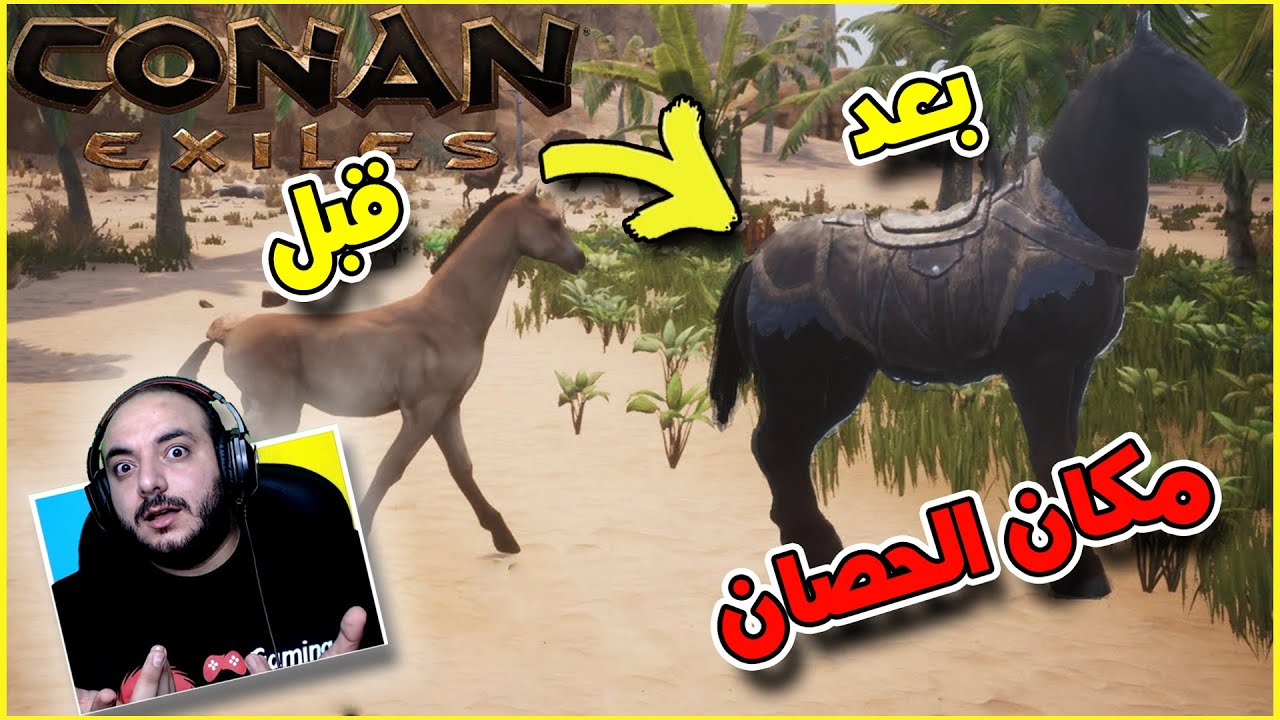 Conan Exiles #05 | المكان السري للحصان