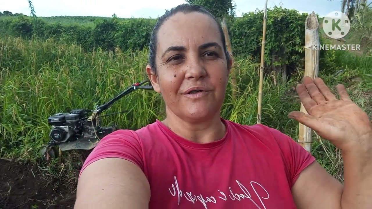 Mandioca Salsa: Como Cultivar e Obter uma Colheita Abundante!