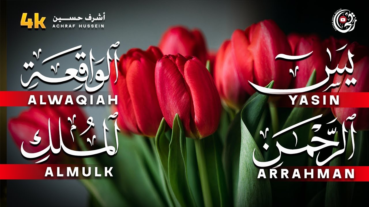 سورة يس، الواقعة، الرحمن، الملك تلاوة هادئة تريح القلب استمع بنية الرزق والبركة Sourat yasin
