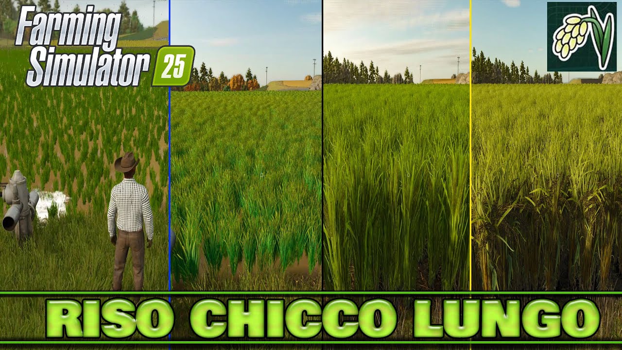 Farming Simulator 25 | ITA GUIDA semina e raccolta RISO A CHICCO LUNGO