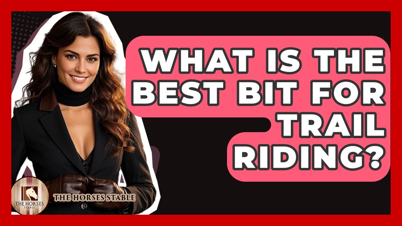 What Is The Best Bit For Trail Riding? - The Horses Stable