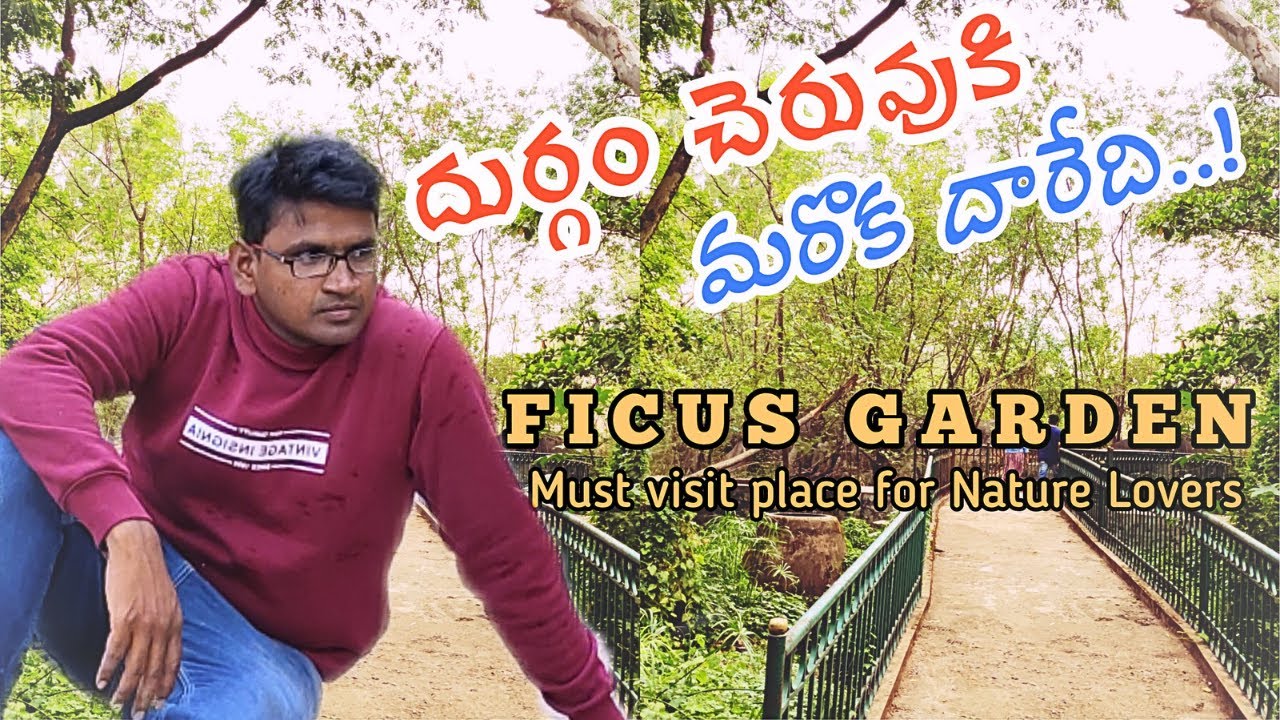 Ficus Garden in Jubilee Hills | 4K | Full Detailed Video Tour | Hyderabad Parks