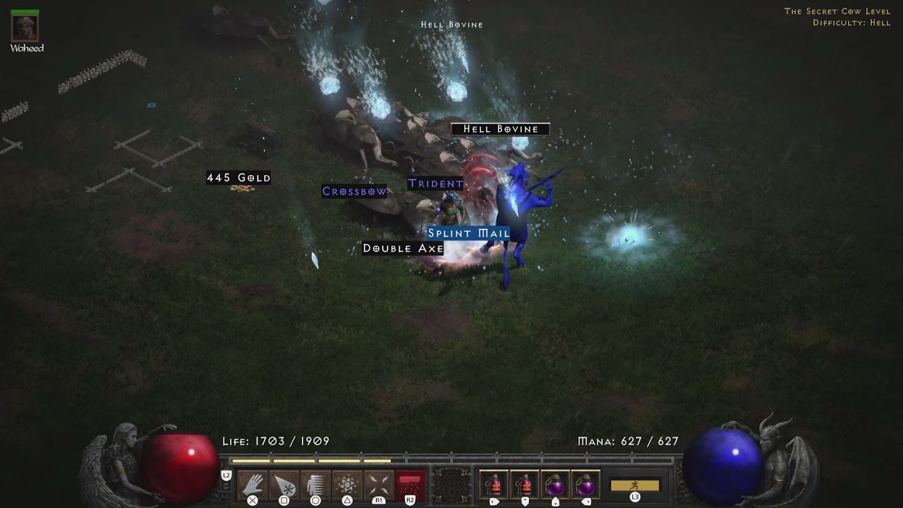 Sur rune drop in Hell Cows - Diablo II: Resurrected