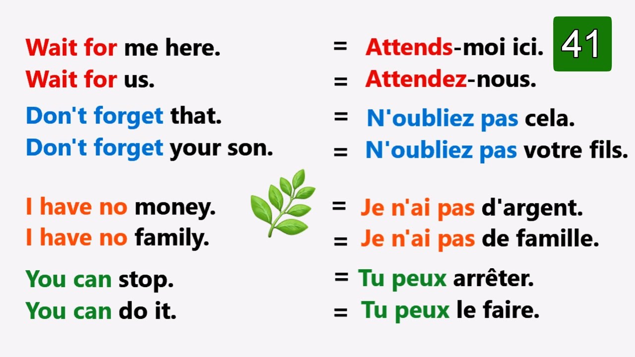 Phrases simples pour apprendre l'anglais facilement |partie 41 |✪✪easy sentences to learn french 🌿