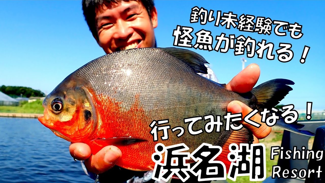 浜名湖・浜松観光の合間に怪魚『コロソマ』を釣ってみよう！釣り初心者から経験者まで楽しめる怪魚釣り堀をご紹介！
