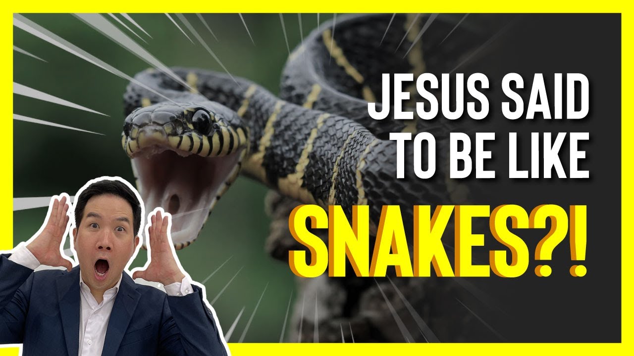 ARE SNAKES EVIL?  DO THEY SYMBOLIZE SATAN? ~ Why would Jesus tell us to be like snakes.