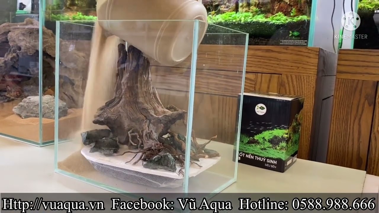 Hướng dẫn tự làm bể thuỷ sinh mini để bàn
