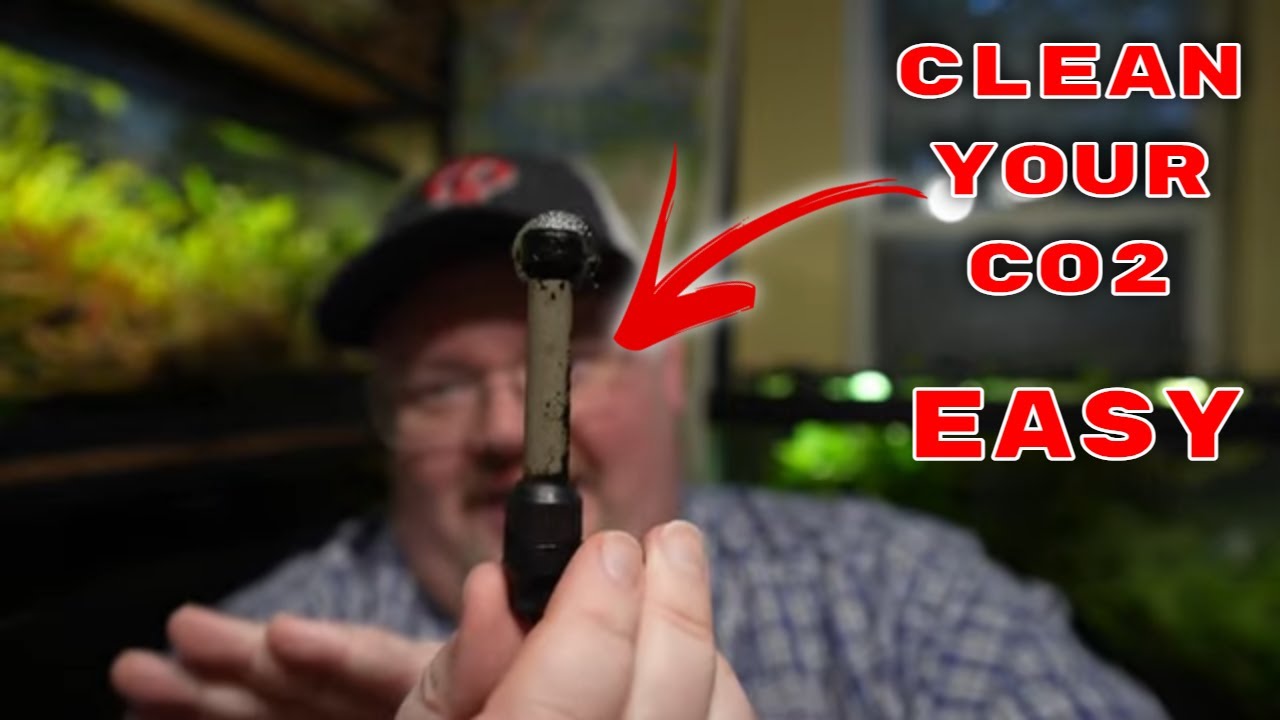 How To Clean Your CO2 Diffuser EASILY