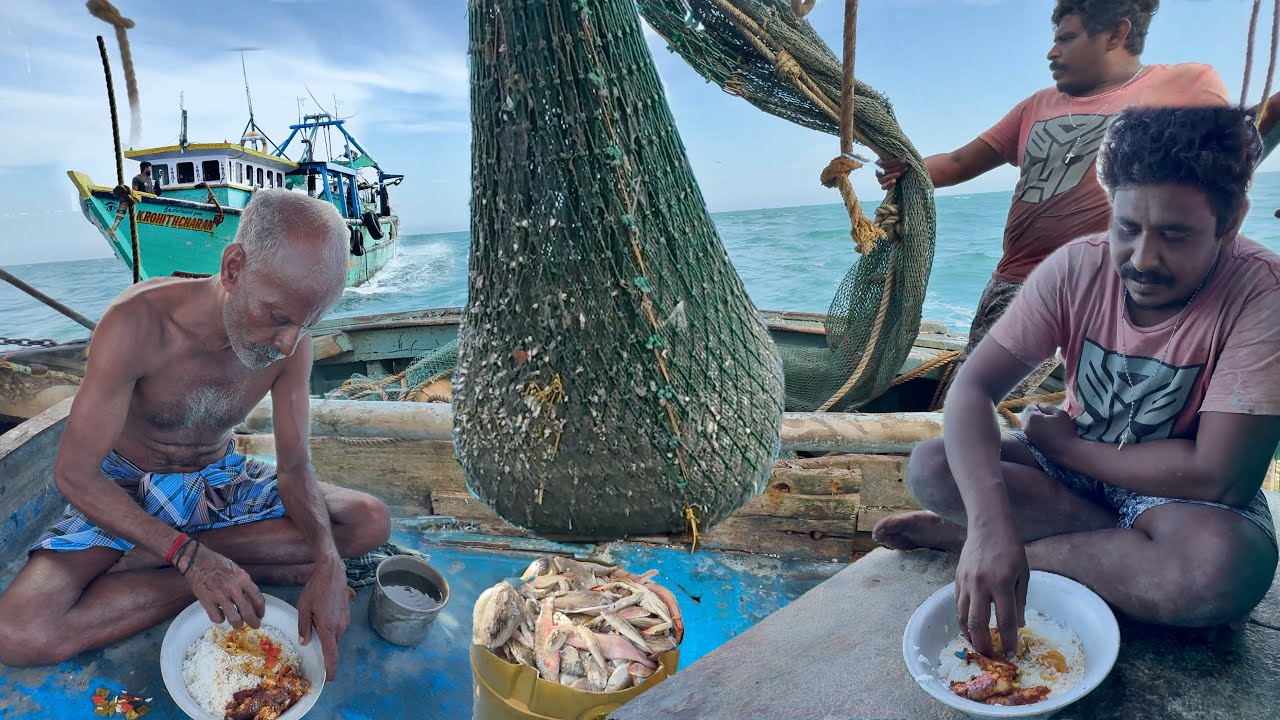 🤩Unbelievable PRAWN Catch in 24 Hours💢🦐💪 | Trawlnet Catch & Cook‼️