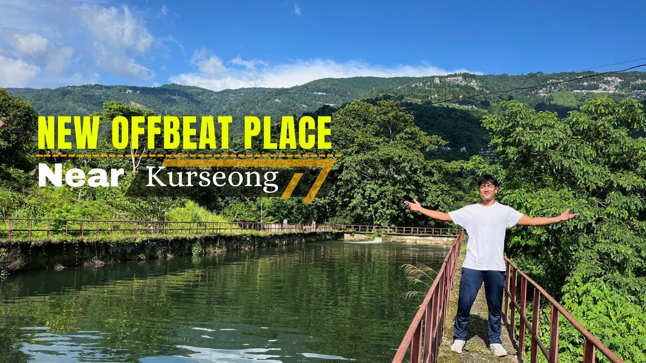 Kurseong Offbeat Places | Kurseong Tourist Places | Kurseong To Siliguri Via Singell Tea Garden