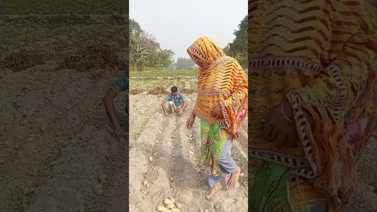 দেবর ভাবির গোপন রিলেশন
