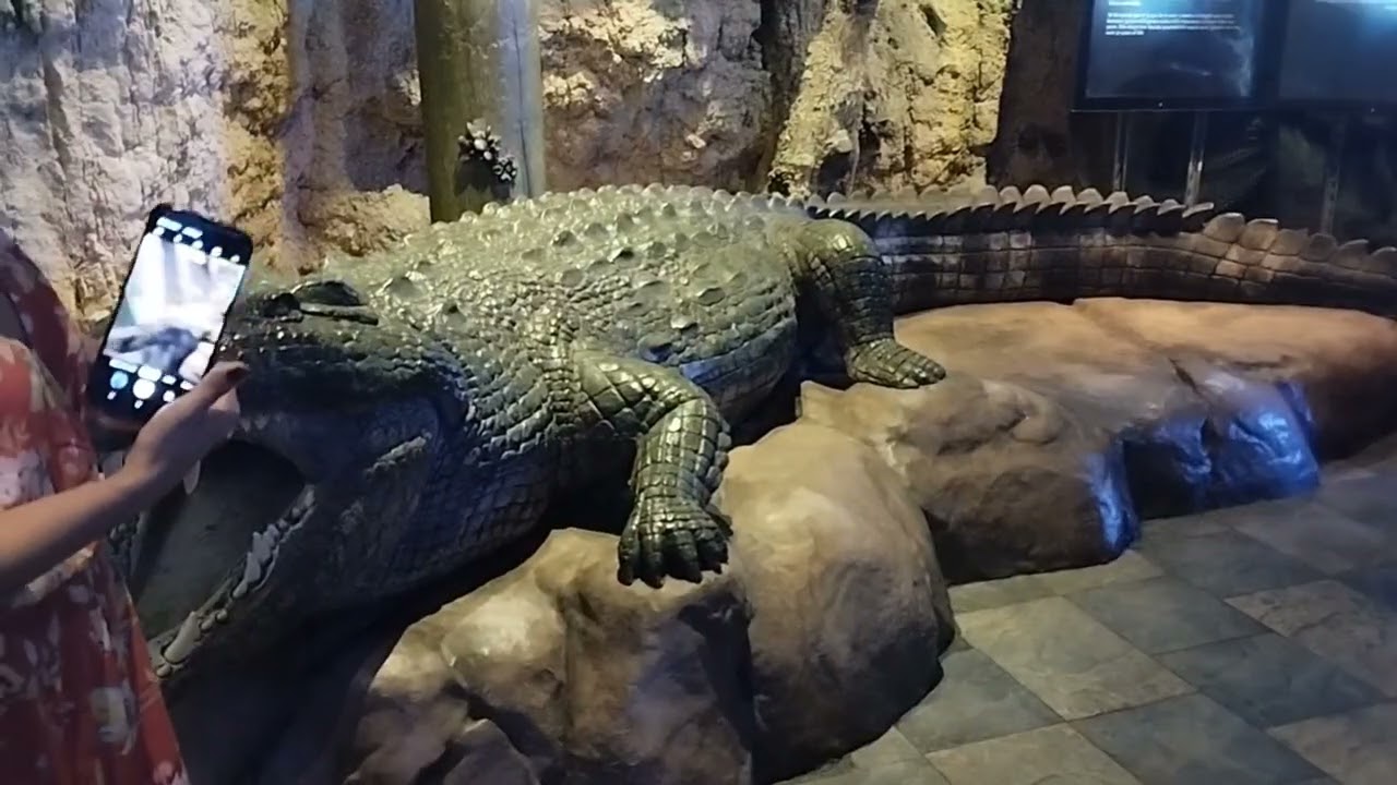Dubai Aquarium experienced.Part 2
